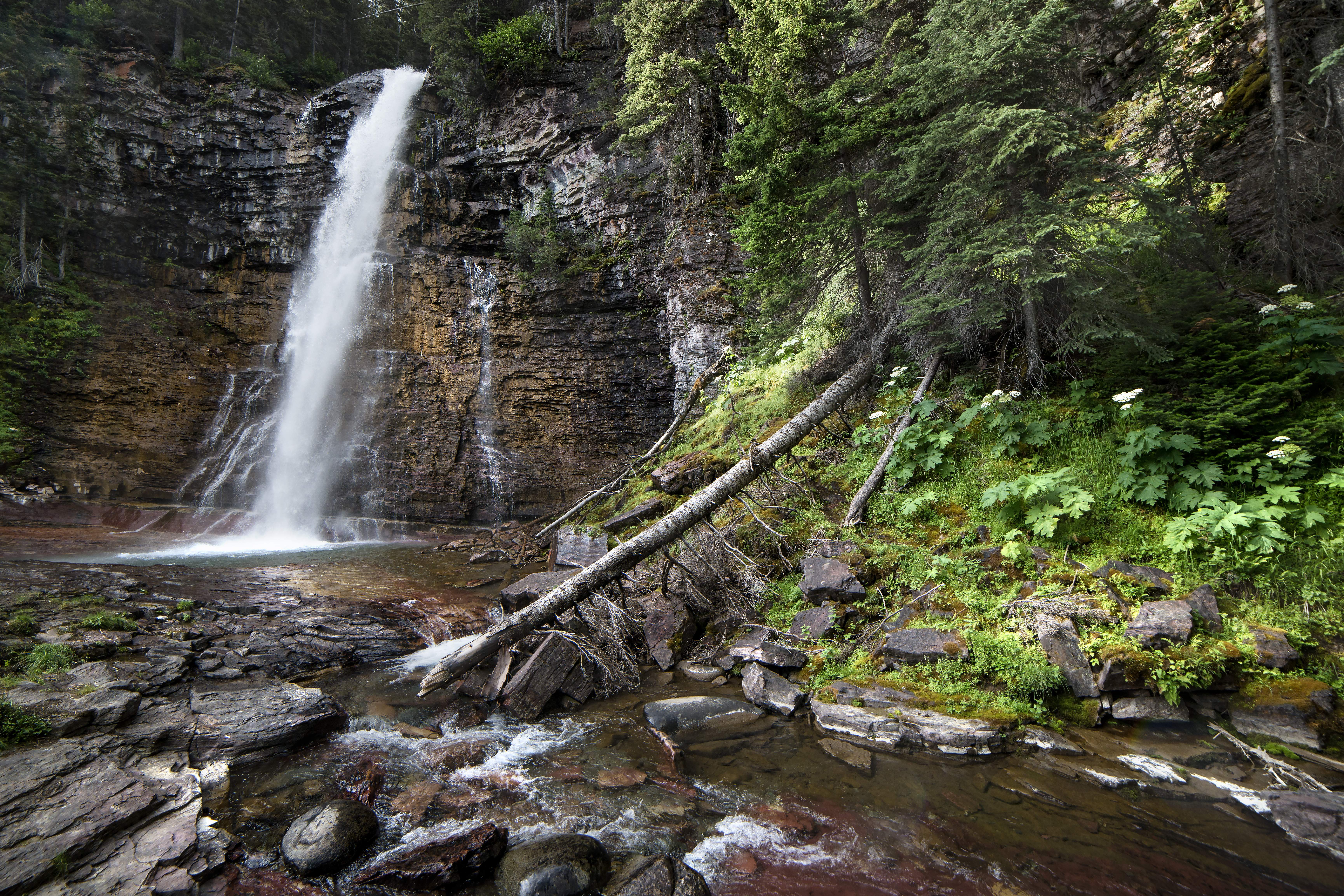 Virginia Falls, Glacier National Park